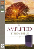 AMPLIFIED STUDY BIBLE - LP REV. PURPLE LS