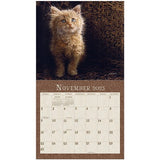 CALENDAR - KITTENS