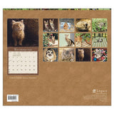 CALENDAR - KITTENS