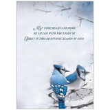 BOXED CHRISTMAS CARDS - JAYS IN THE SNOW