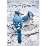 BOXED CHRISTMAS CARDS - JAYS IN THE SNOW